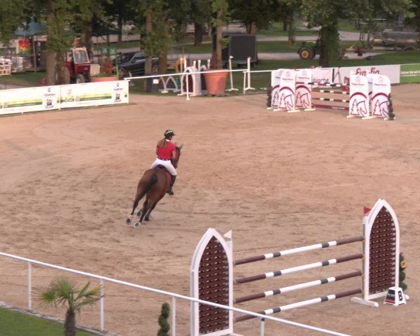 Reitturnier Stadl-Paura 2024