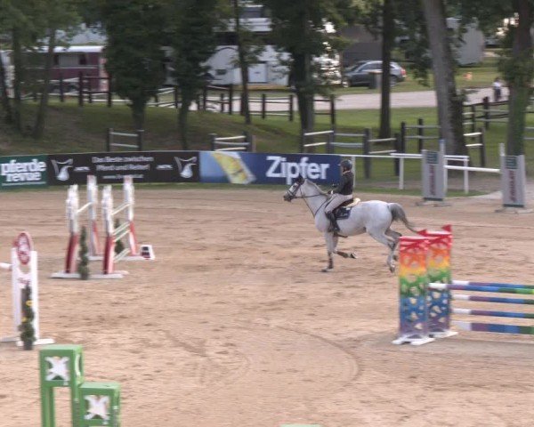 Reitturnier Stadl-Paura 2024