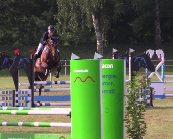 Reitturnier Gardelegen 2024