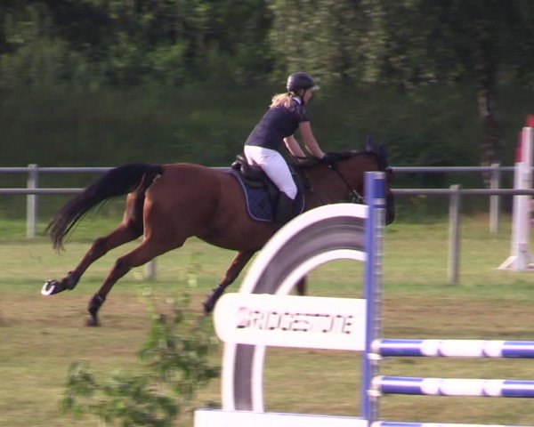 Reitturnier Gardelegen 2024