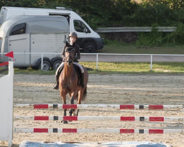 Reitturnier Heiligenwald 2024