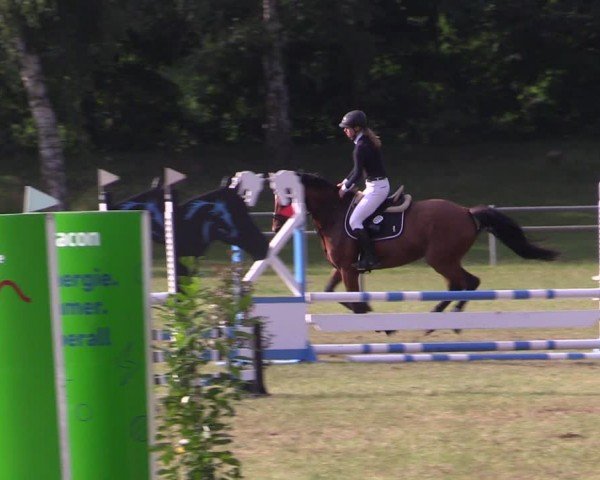 Reitturnier Gardelegen 2024