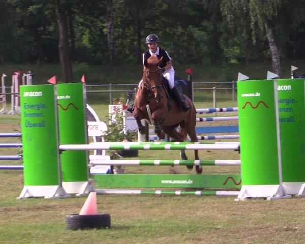 Reitturnier Gardelegen 2024