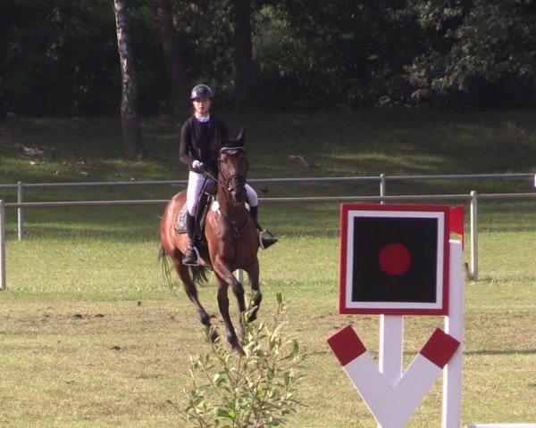 Reitturnier Gardelegen 2024