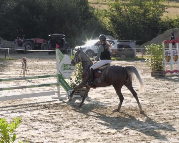 Reitturnier Heiligenwald 2024