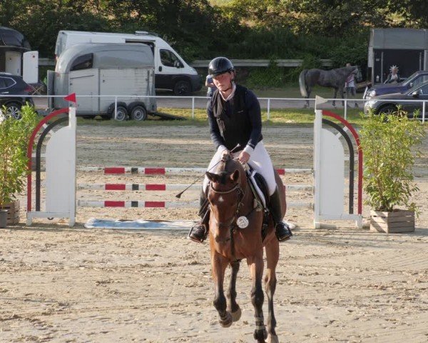 Reitturnier Heiligenwald 2024