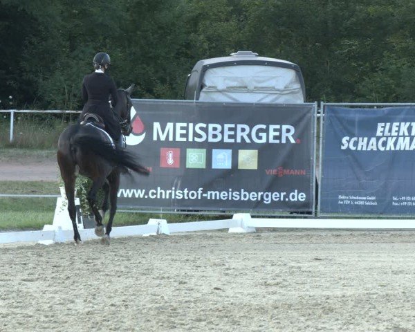 Reitturnier Heiligenwald 2024
