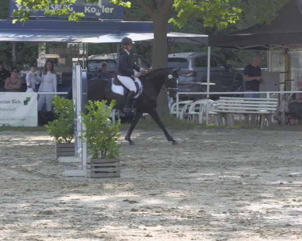 Reitturnier Heiligenwald 2024