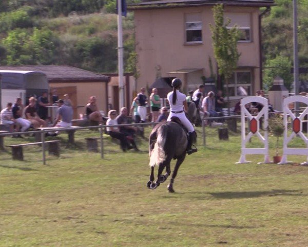 Reitturnier Gardelegen 2024