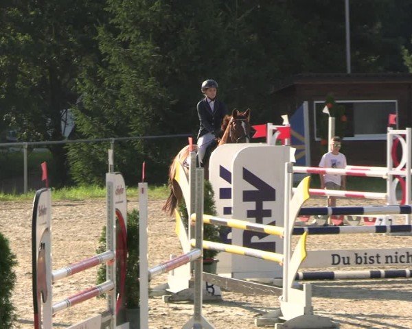Reitturnier Bad Liebenstein/Sorga 2024