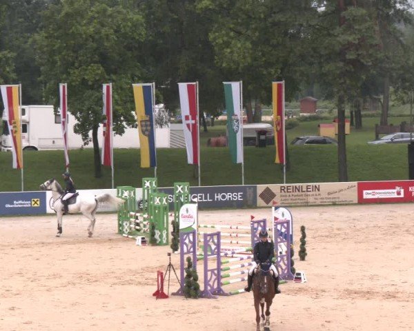 Reitturnier Stadl-Paura 2024