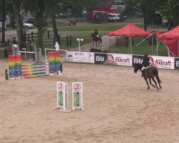 Reitturnier Stadl-Paura 2024
