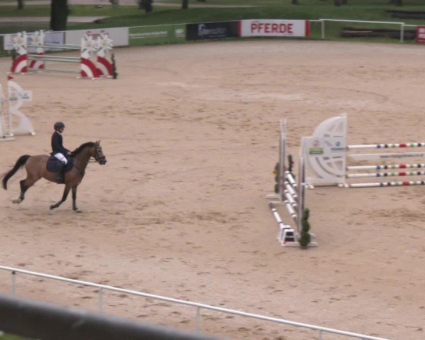 Reitturnier Stadl-Paura 2024