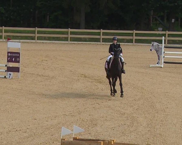 Reitturnier Tiefenhof/Opf. 2024