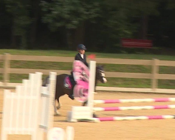 Reitturnier Tiefenhof/Opf. 2024