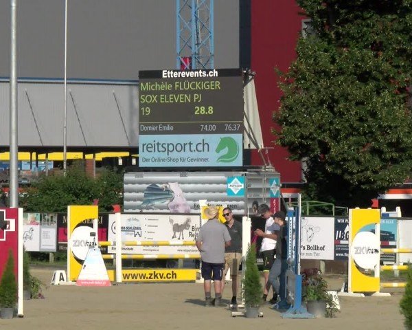 Reitturnier Dagmersellen 2024