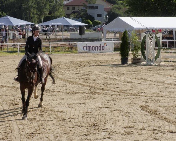Reitturnier Heiligenwald 2024
