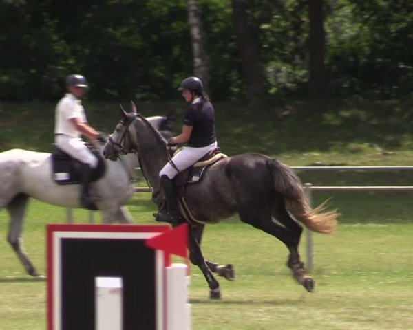 Reitturnier Gardelegen 2024