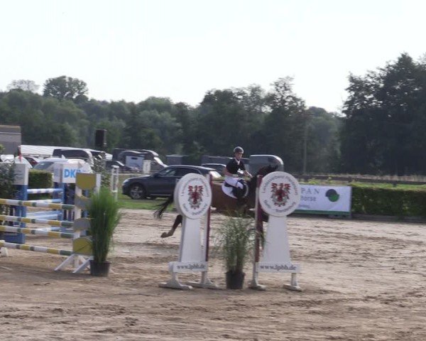 Reitturnier Neustadt/Dosse 2024