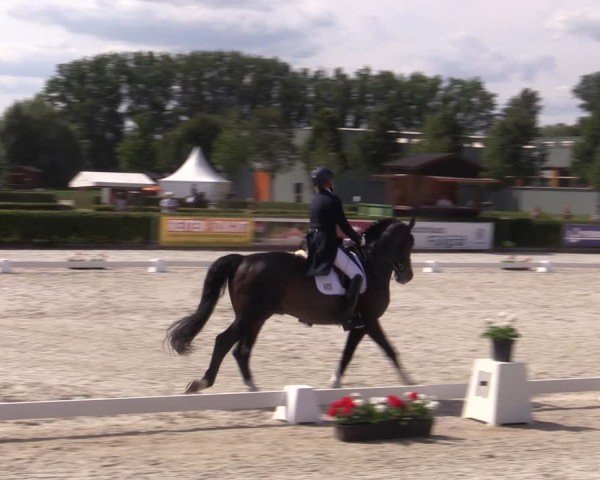 Reitturnier Neustadt/Dosse 2024