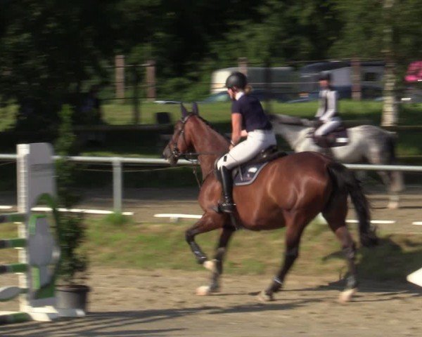 Reitturnier Herbern 2024