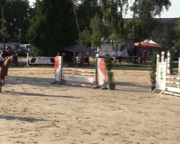 Reitturnier Herbern 2024