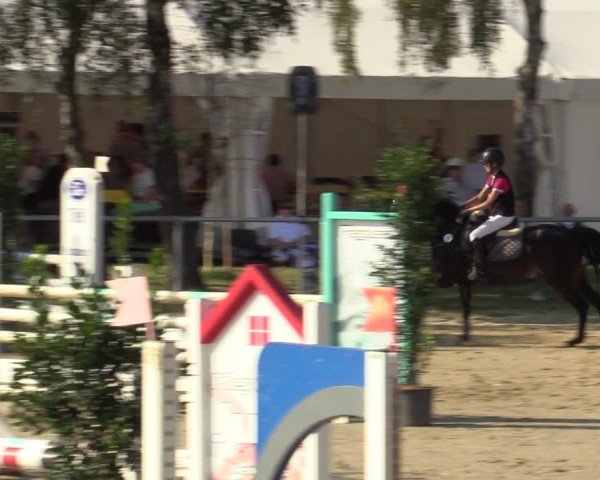 Reitturnier Herbern 2024