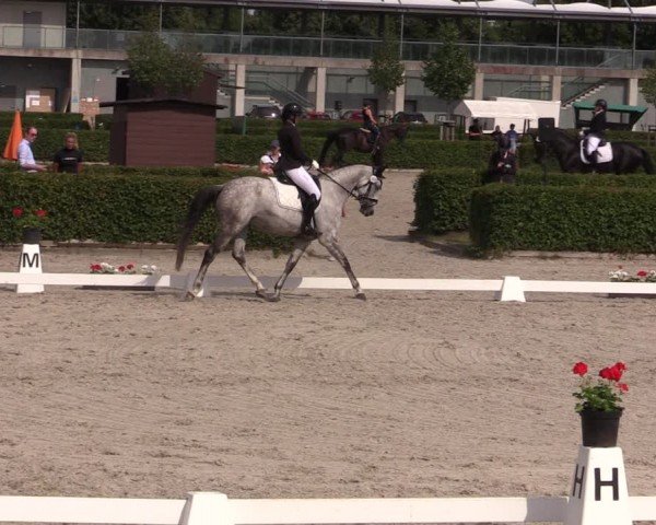 Reitturnier Neustadt/Dosse 2024