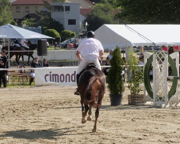Reitturnier Heiligenwald 2024
