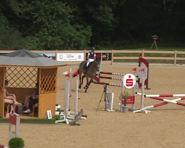 Reitturnier Tiefenhof/Opf. 2024