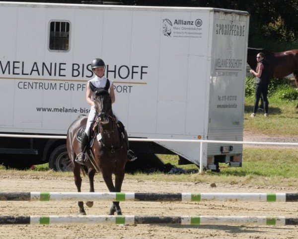 Reitturnier Heiligenwald 2024