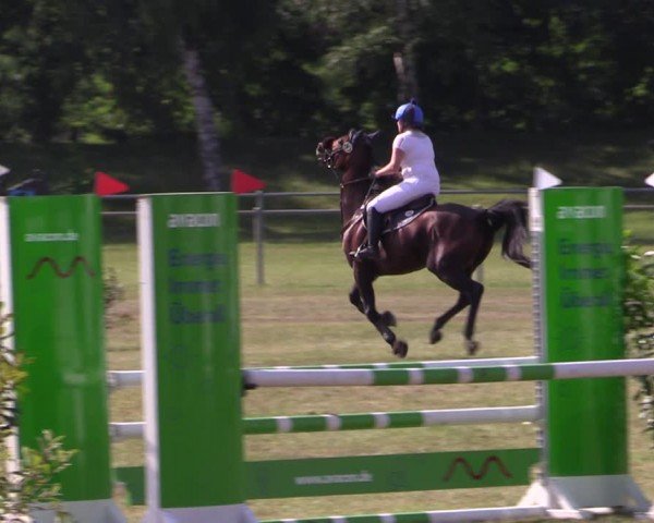 Reitturnier Gardelegen 2024