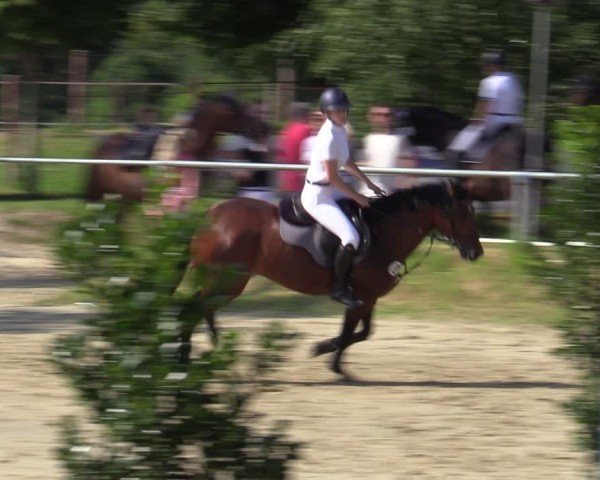 Reitturnier Herbern 2024