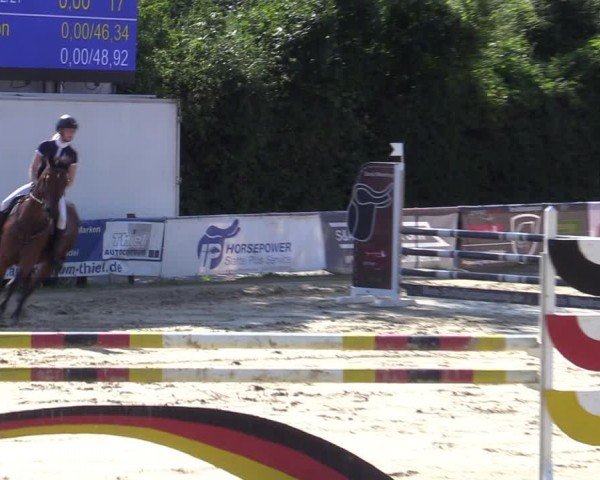 Reitturnier Herbern 2024