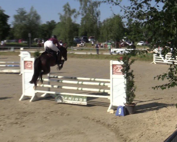 Reitturnier Herbern 2024