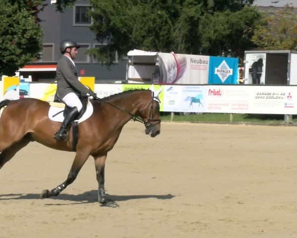 Reitturnier Dagmersellen 2024