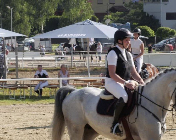 Reitturnier Heiligenwald 2024