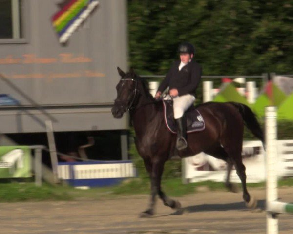 Reitturnier Weiswampach  2024