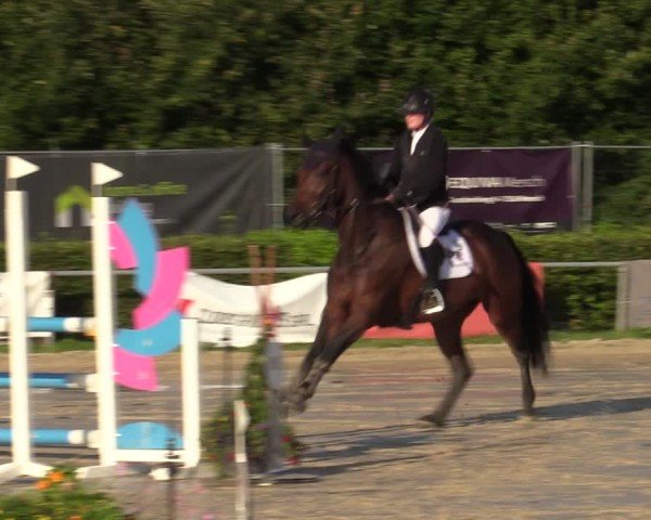 Reitturnier Weiswampach  2024