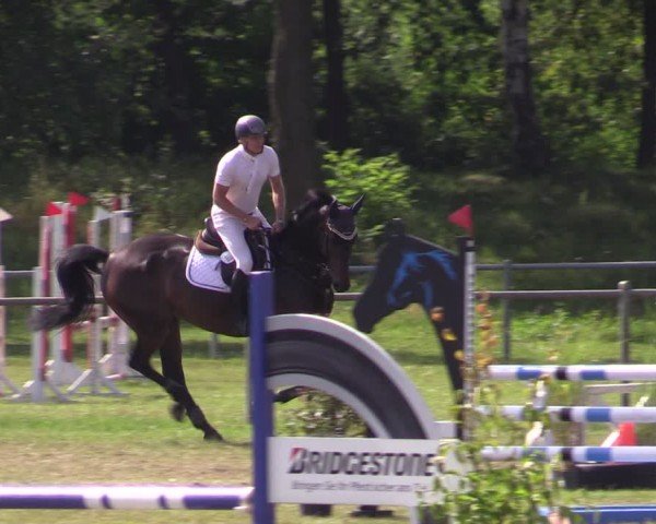 Reitturnier Gardelegen 2024