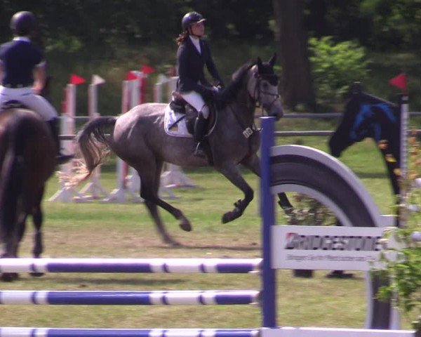 Reitturnier Gardelegen 2024
