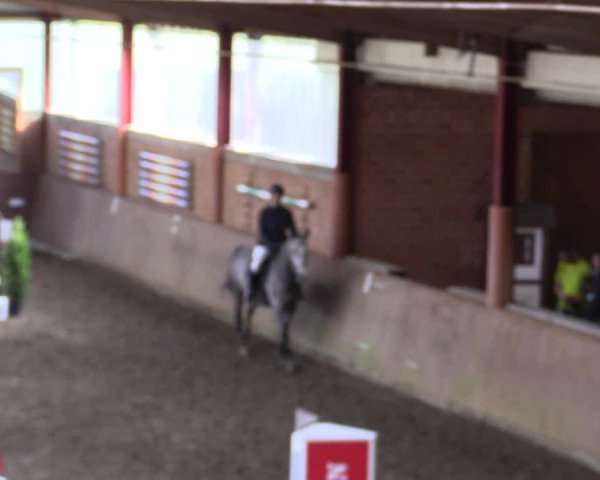 Reitturnier Herzebrock-Rheda 2021