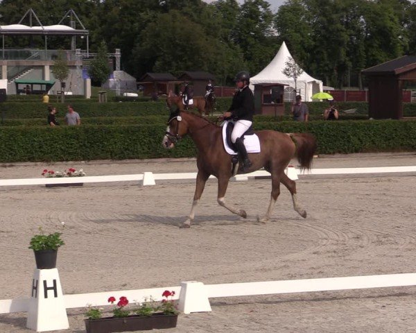 Reitturnier Neustadt/Dosse 2024