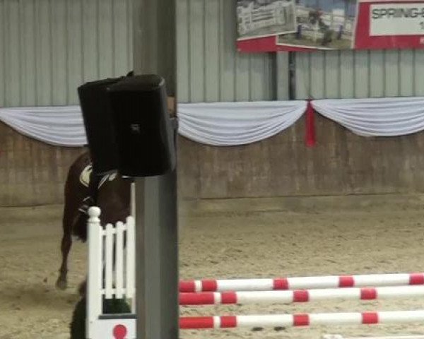 Spring-Event Goch 2013