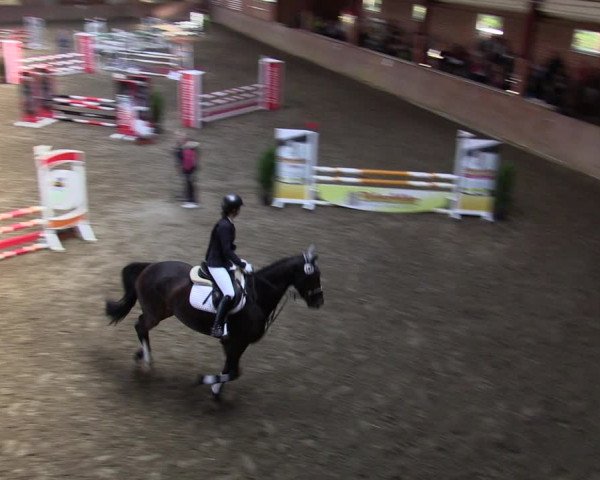 Reitturnier Herzebrock-Rheda 2021