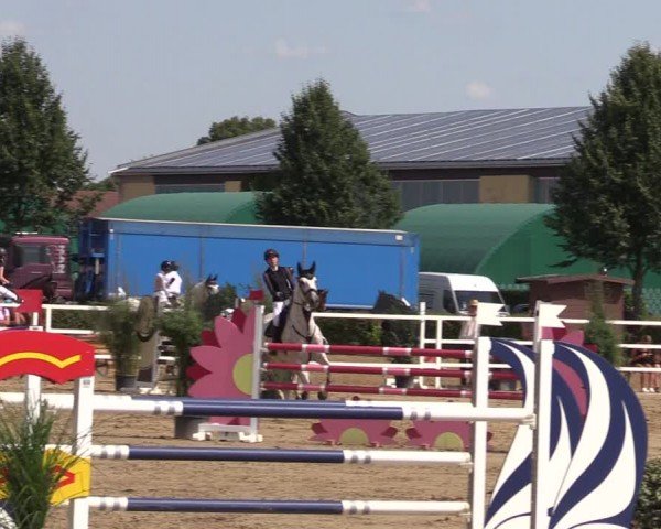 Reitturnier Neustadt/Dosse 2024