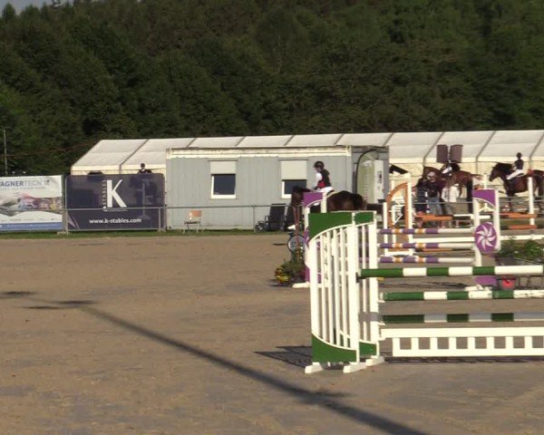Reitturnier Weiswampach 2024