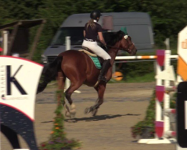 Reitturnier Weiswampach  2024