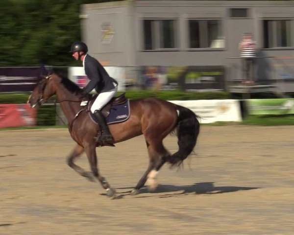 Reitturnier Weiswampach  2024