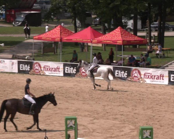 Reitturnier Stadl-Paura 2024